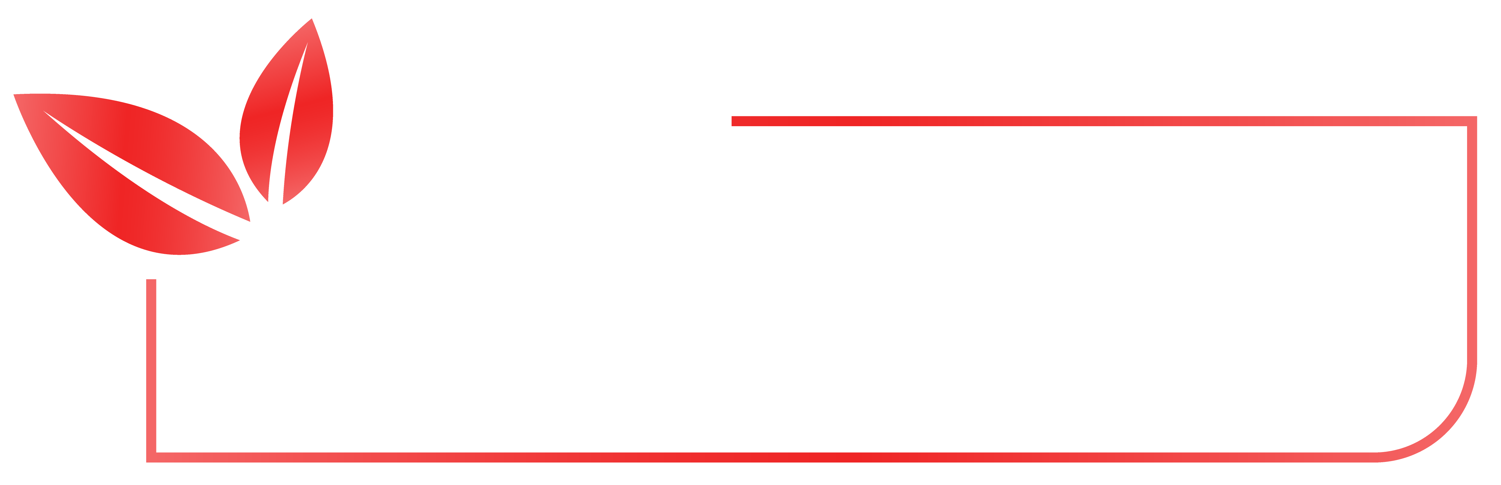 Top Kitchen Spices Main Logo