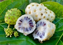 Noni