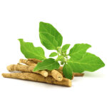 ashwagandha img