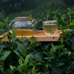 Green Tea img